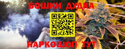 PSILOCYBIN Кинель