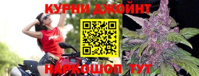 гашик Кимры