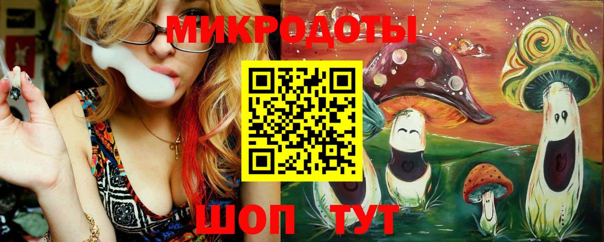 Галлюциногенные грибы Psilocybe Лабинск